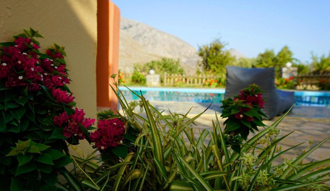 Villa Despina 1 Plakias Private Villa, Private Swimming Pool Garden,Amazing View Lefkogeia Zewnętrze zdjęcie